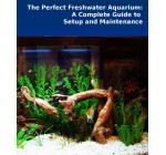 The Perfect Freshwater Aquarium: A Complete Guide for Setup and Maintenance