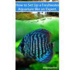 Freshwater Aquariums: How to Set Up One Like an Expert (Aquarium and Turtle Mastery)