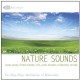 Nature Sounds: Ocean Waves, Forest Sounds, Rain, Wind, Thunder, Wilderness Stream (Relaxing Sounds of Nature, Deep Sleep Music & Meditation)