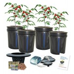 Deep Water Culture Bubbler 4-site Bucket hydroponic System (5-Gal) H2OtoGro