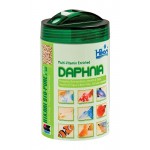 Hikari Bio-Pure Freeze Dried Daphnia for Pets, 0.42-Ounce