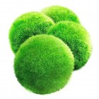4 LUFFY Giant Marimo Moss Balls - Aesthetically Beautiful & Create Healthy Environment - Eco-Friendly, Low Maintenance & Curbs Algae Growth - Shrim...