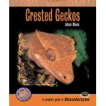 Crested Geckos: A Complete Guide to Rhacodactylus