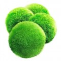 4 LUFFY Giant Marimo Moss Balls - Aesthetically Beautiful & Create Healthy Environment - Eco-Friendly, Low Maintenance & Curbs Algae Growth - Shrim...